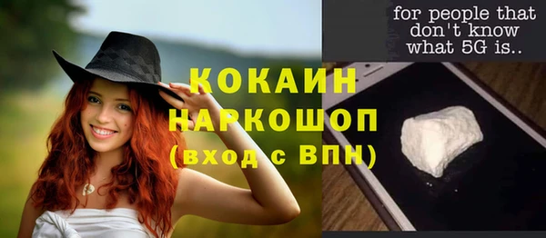 МДПВ Снежногорск